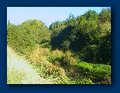 Picturesque River Cherwell